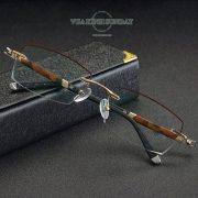 Gọng kính cận khoan titanium phối đồi mồi VD194